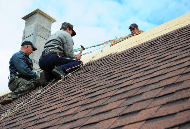 Best Storm Damage Roof Repair  in Shelby, MT